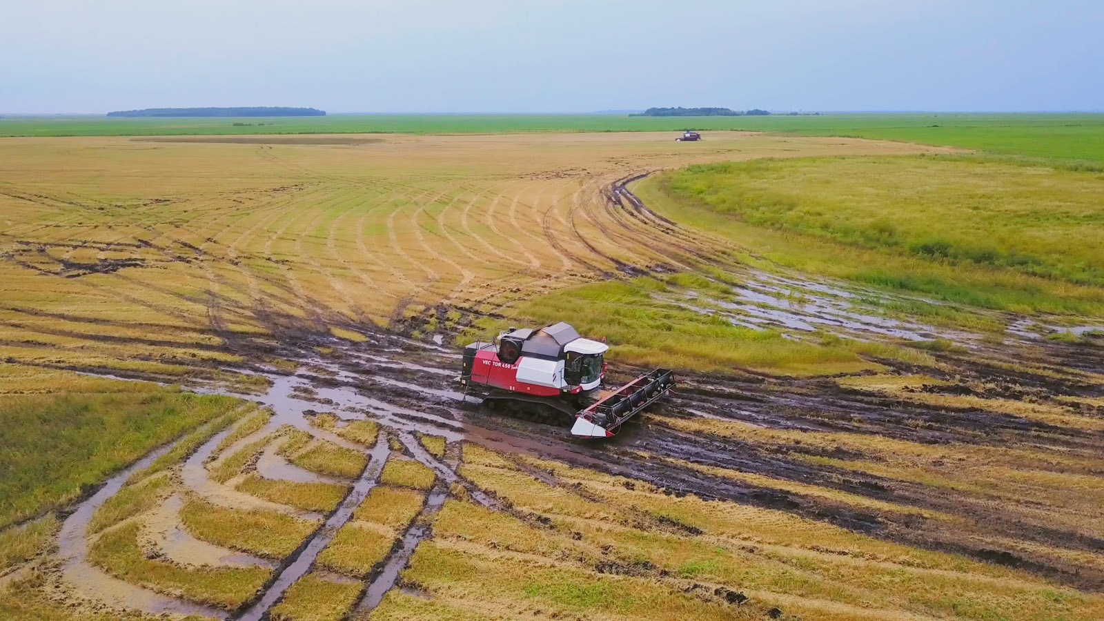VECTOR 450 Track ?>