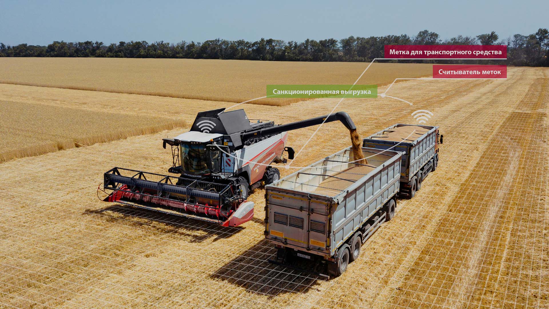 РСМ Транспорт АйДи ?>